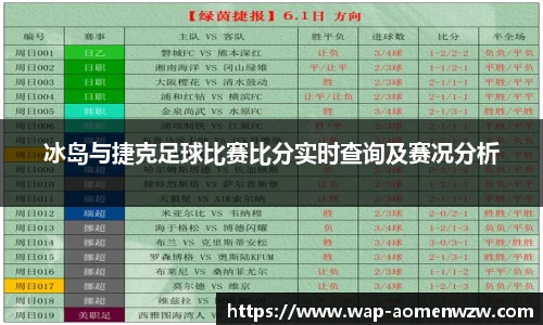王中王资料